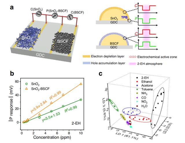 中科大开发多变量电子鼻传感器，可用于毒害气体和火灾探测和鉴别